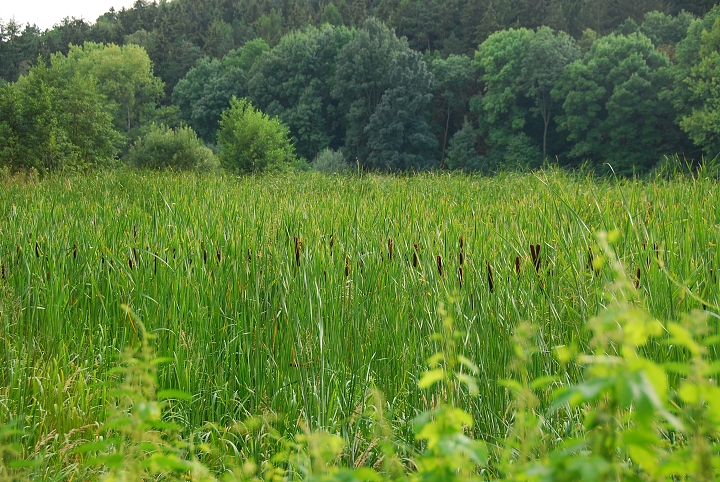img00019.jpg