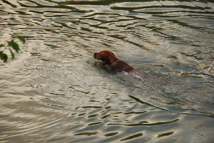 img00021.jpg
