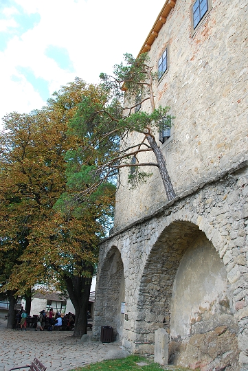 img00042.jpg