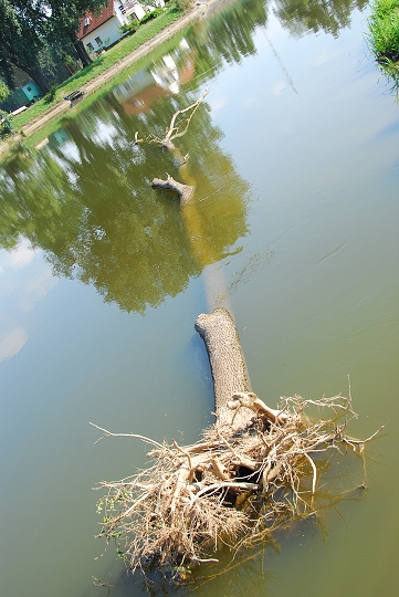 img00044.jpg