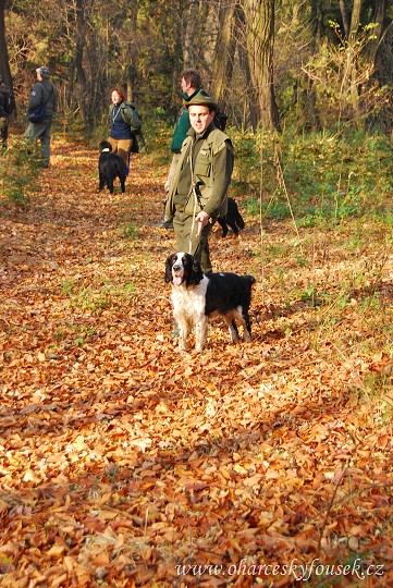 img00037.jpg