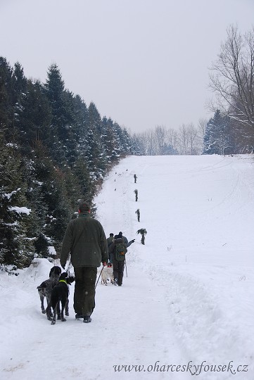 img00005.jpg