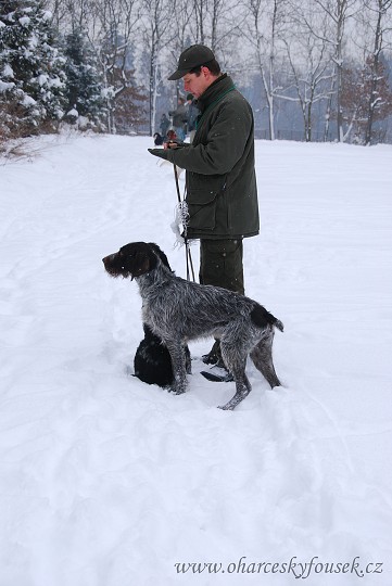 img00007.jpg