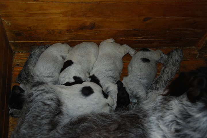 img00002.jpg
