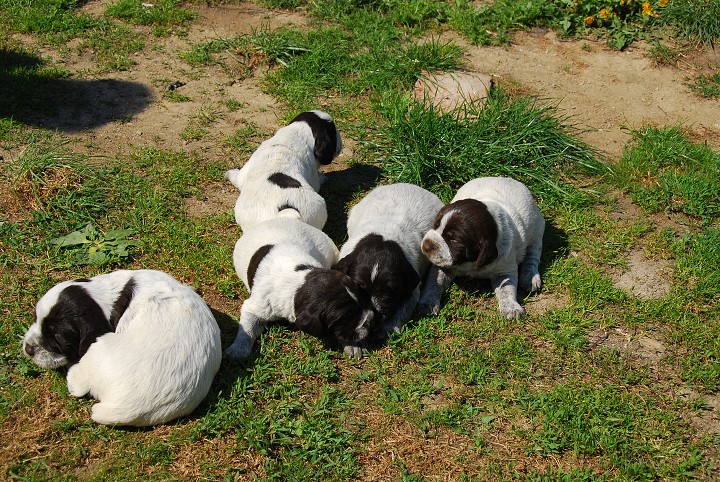 img00004.jpg