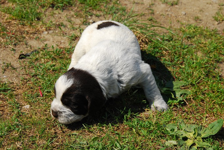 img00006.jpg
