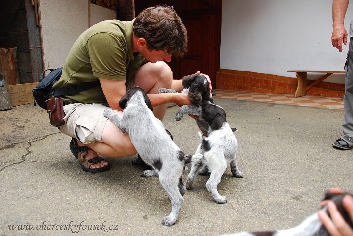 img00025.jpg