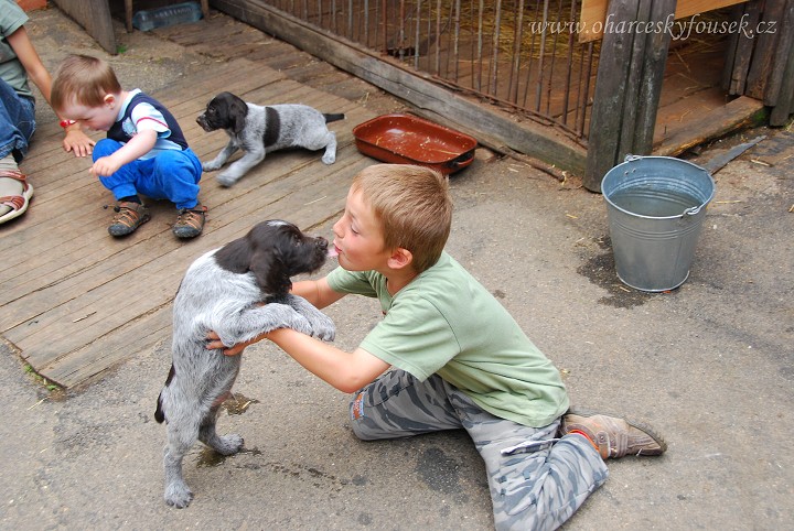 img00039.jpg