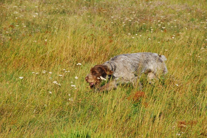 img00008.jpg