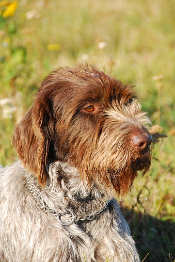 img00015.jpg