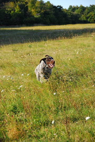img00023.jpg
