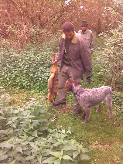 img00026.jpg