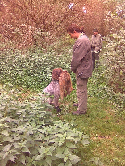 img00027.jpg