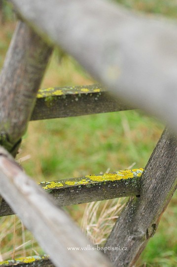 img00003.jpg