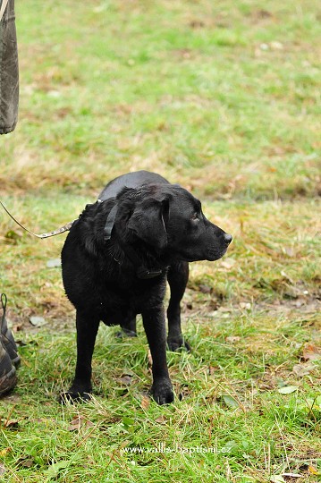 img00008.jpg
