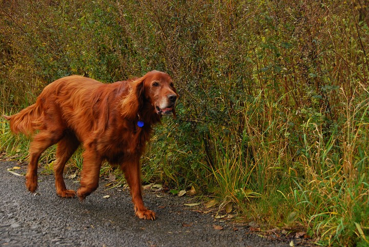 img00010.jpg