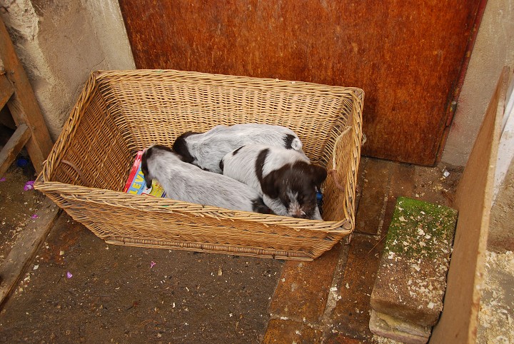 img00005.jpg