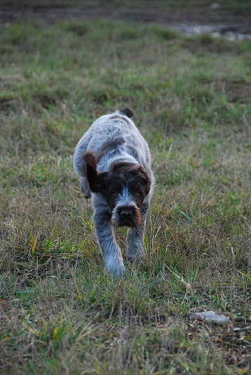 img00012.jpg