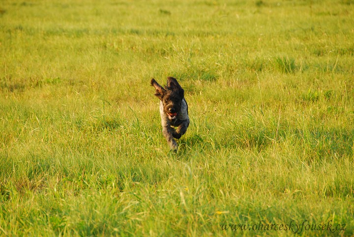 img00014.jpg
