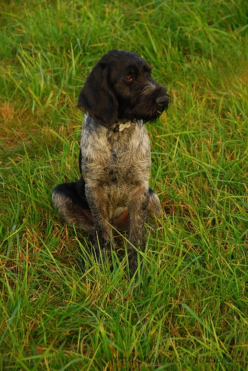 img00018.jpg
