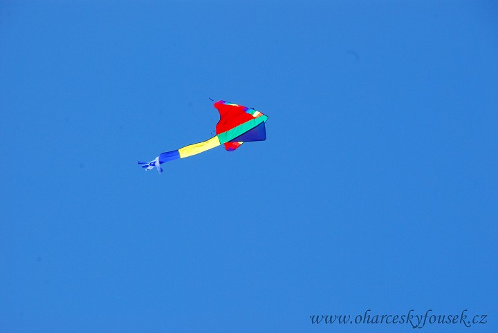 img00028.jpg