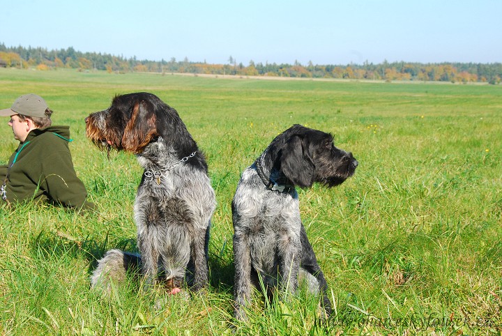 img00036.jpg