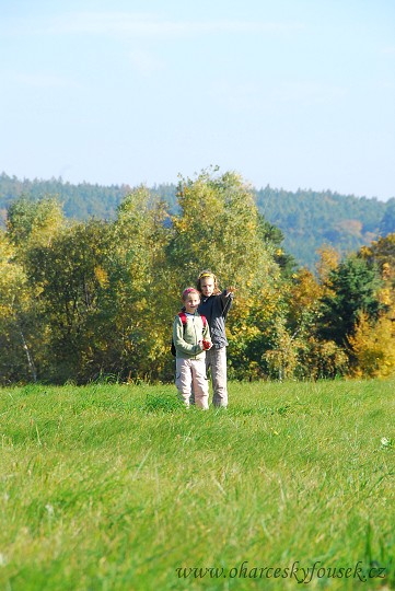 img00037.jpg