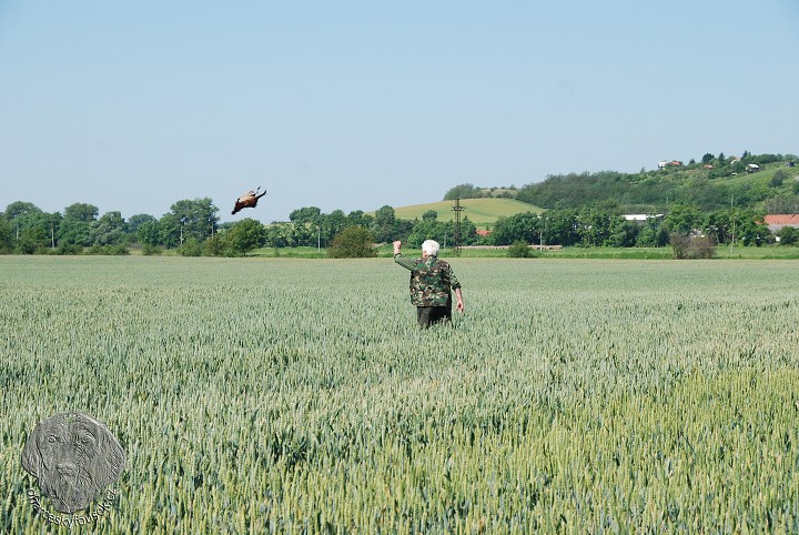 img00040.jpg