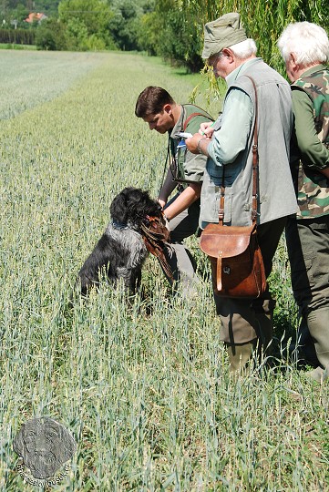 img00045.jpg