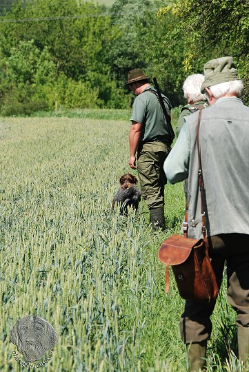 img00066.jpg