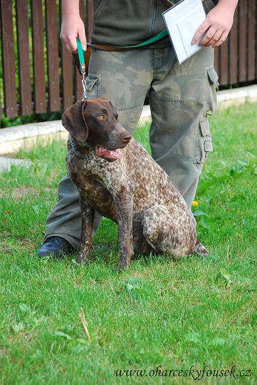 img00006.jpg