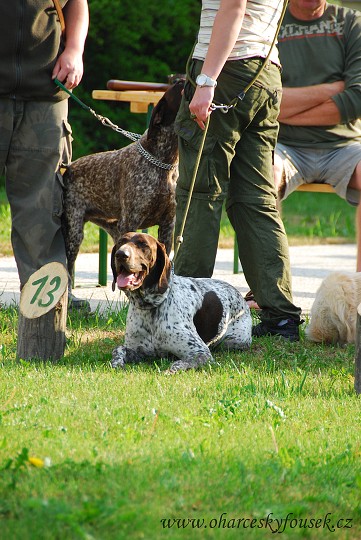 img00009.jpg