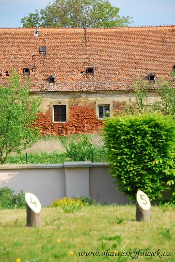 img00010.jpg
