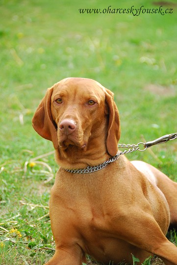 img00014.jpg