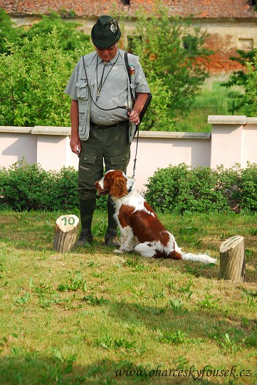 img00021.jpg