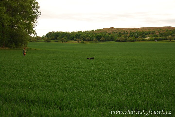 img00039.jpg