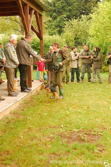 img00062.jpg