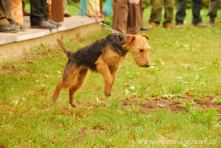 img00064.jpg