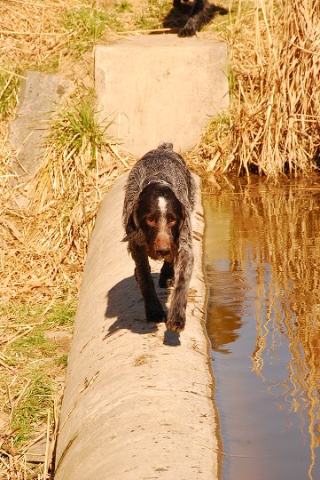 img00003.jpg