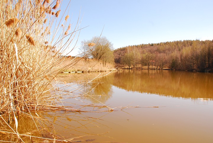 img00005.jpg
