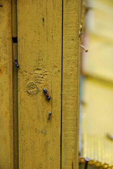 img00008.jpg