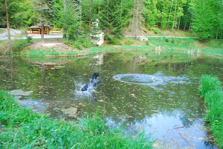 img00016.jpg