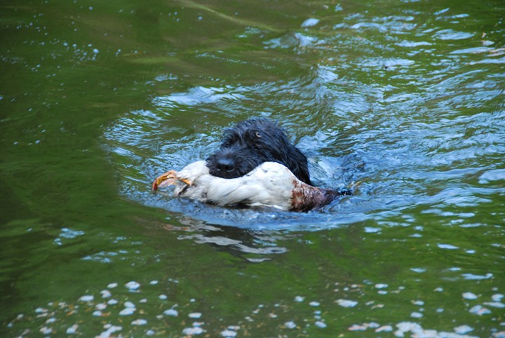 img00018.jpg