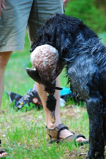 img00020.jpg