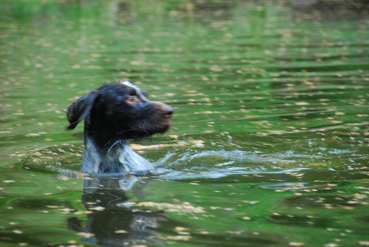 img00023.jpg