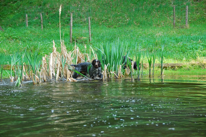 img00025.jpg