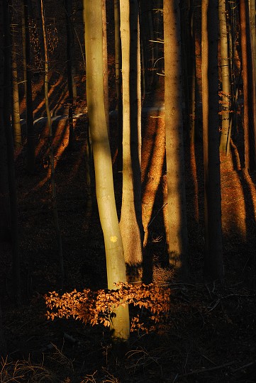 img00002.jpg