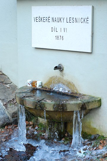 img00004.jpg
