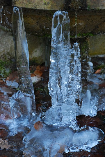 img00007.jpg