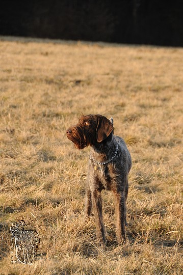 img00007.jpg